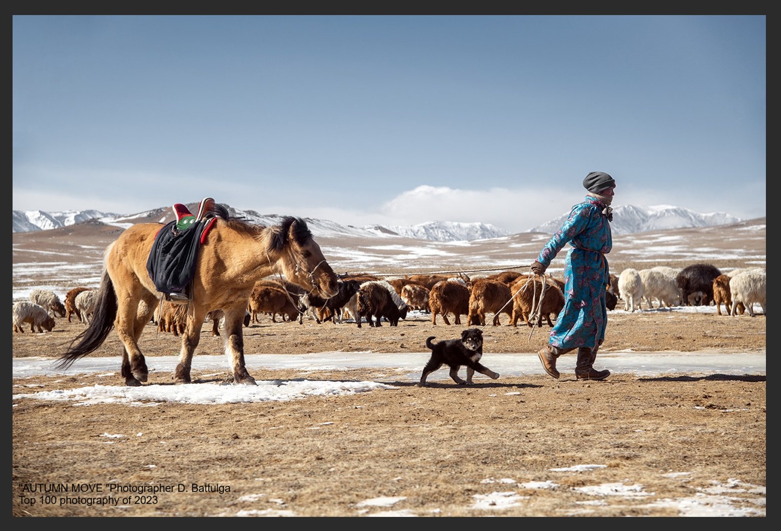Nomadic woman walking with her horse and puppy